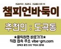 바둑이게임 실시간 플레이 가이드