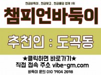 바둑이게임 실시간 플레이 가이드